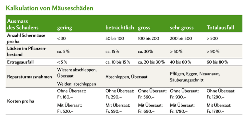 Wenn Mäuse zum teuren Problem werden
