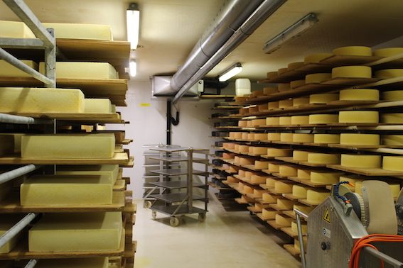 Ein Käse mit einer ganz besonderen Kräutersulz