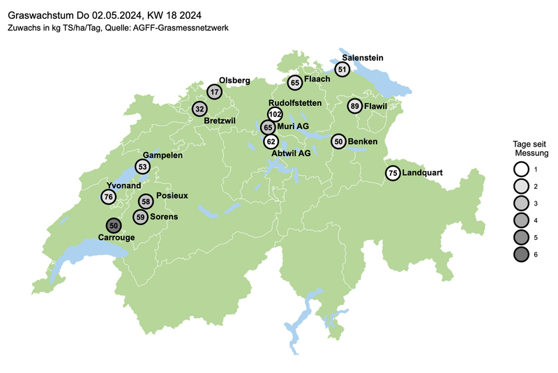 Wie gehe ich mit Weideresten um?