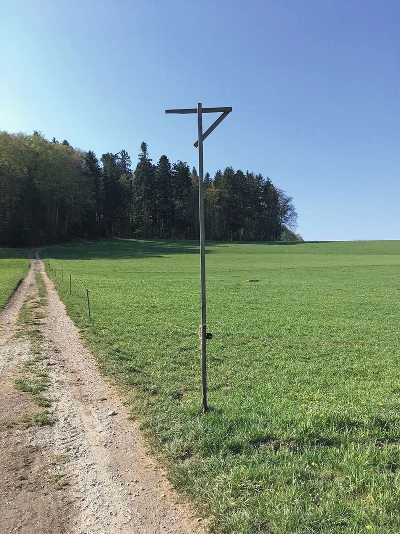 Mäuse bekämpfen lohnt sich finanziell