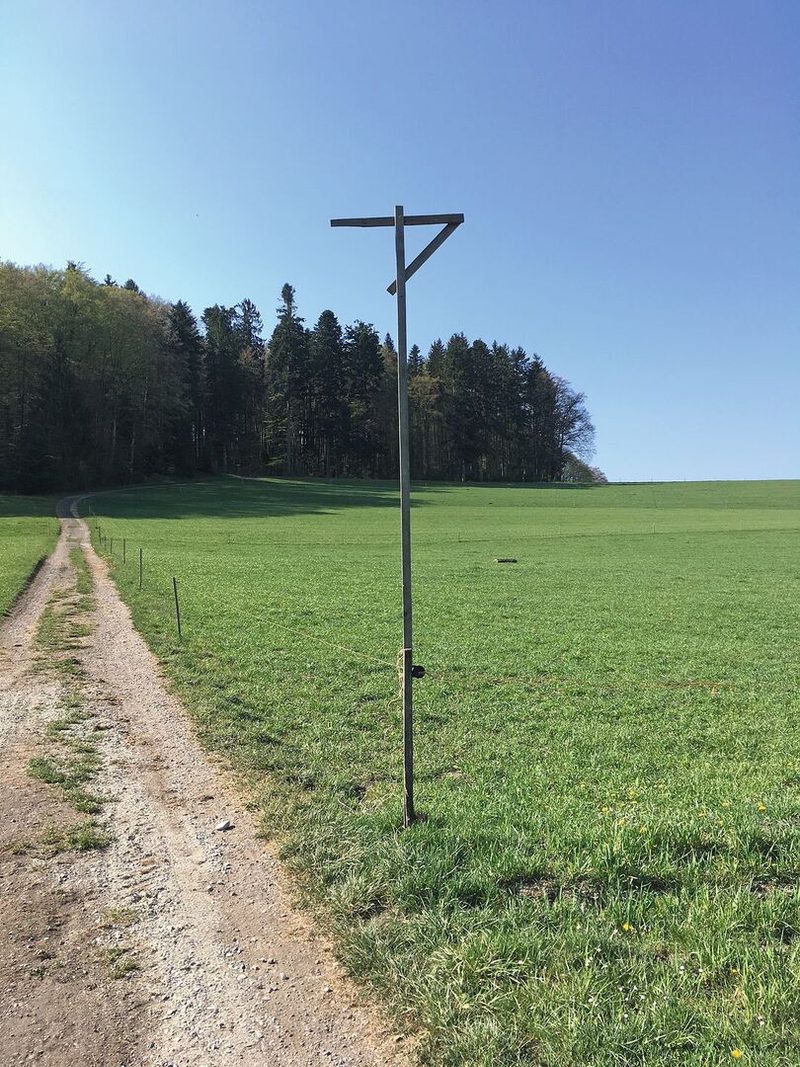 Mäuse bekämpfen lohnt sich finanziell