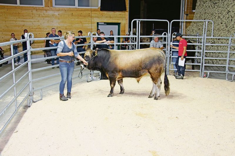 Der Stier Pontiac vom Horn wurde Champion bei der Rasse Aubrac. Er erzielte einen Preis von Fr. 5200.–.