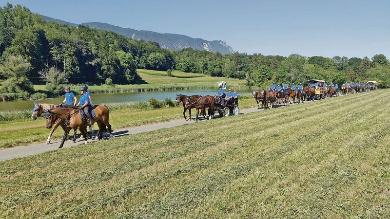 Für grosses Aufsehen hatte schon im Vorfeld der Aargauer Pferdetreck gesorgt.