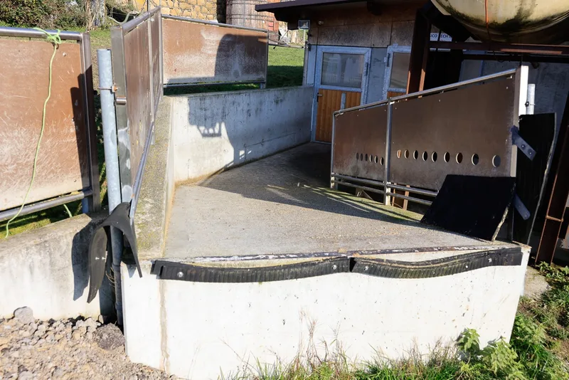 Die vor dem Stall angebaute, stabile Laderampe mit ihren festen Wänden ist beim Verladen der Tiere eine grosse Hilfe. Bild: Peter Röthlisberger