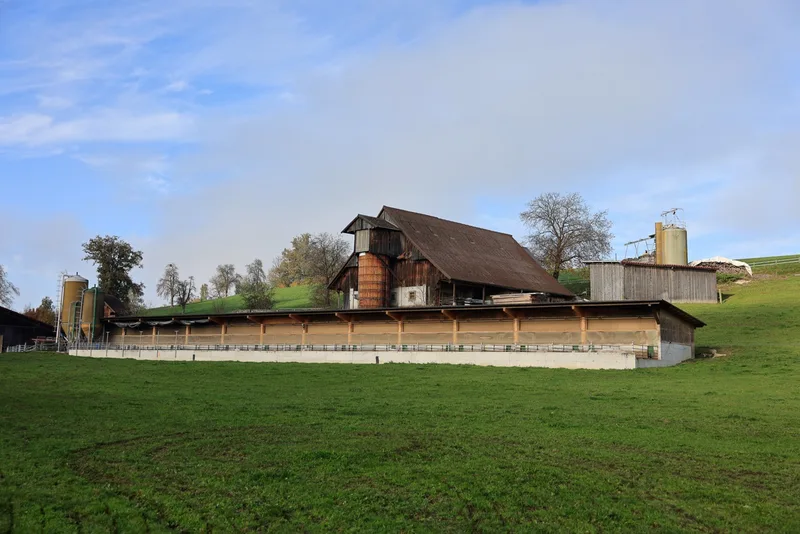 Die hohe, nach Süden gerichtete Front ist über einer Grundmauer mit einer sogenannten «Wendeklappe» ausgestattet. Sie lässt sich ganz öffnen. Bild: Peter Röthlisberger