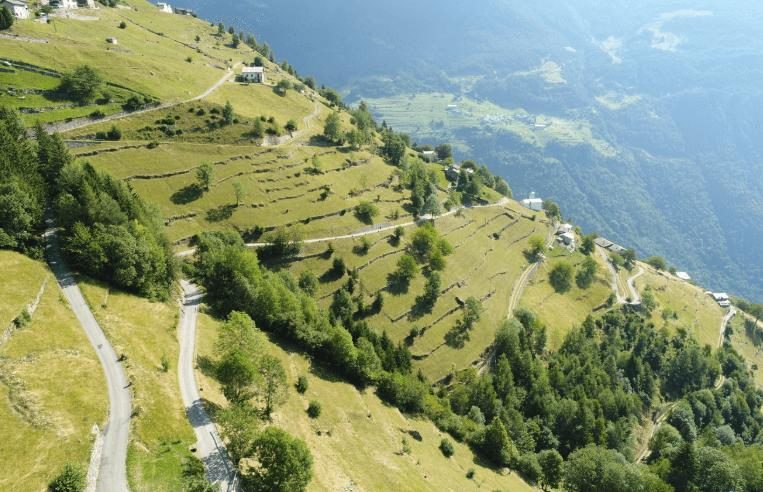 Tätigkeitsbericht: Was der Fonds Landschaft Schweiz eigentlich so macht