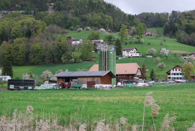 Sina Rüegsegger: «Was ich nicht gerne mache? Schwierige Frage»