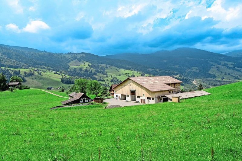 Oberhalb von Giswil liegt der Biohof Emmetti auf rund 700 m ü. M. Da befindet sich auch die Produktion der hofeigenen «Buirähof-Glace».