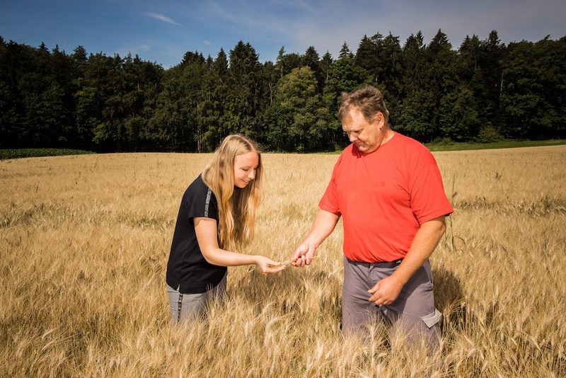 Schweizer Teigwaren jetzt auch mit Schweizer Hartweizen