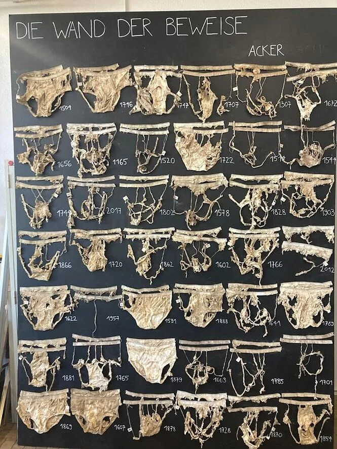 An dieser «Wand der Beweise» hängen einige der ausgegrabenen, halb zersetzten Unterhosen.