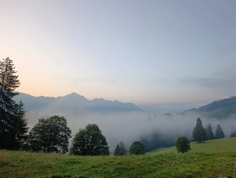 Herbstlicher Alpsommer auf der Site Alp