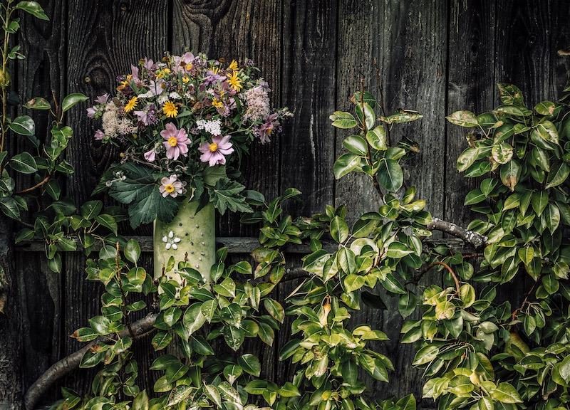 Blumenwettbewerb: Edith Aschwanden ist Teil des neuen Landliebe-Buchs