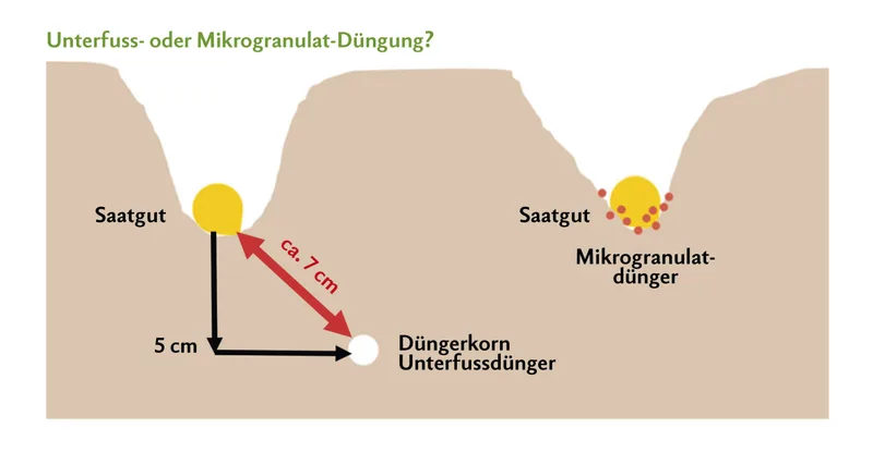 Im Gegensatz zum Unterfussdünger wird Mikrogranulat-Dünger direkt beim Maiskorn platziert. Das ist insbesondere beim Phosphor ein Vorteil, weil dieser Nährstoff im Boden nicht mobil ist. Grafik: Landor