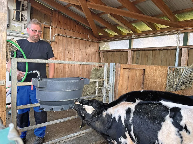 Pirmin Wandeler steht neben der Kälberbucht und befüllt das Tränkebecken für die grösseren Kälber mit Milch.