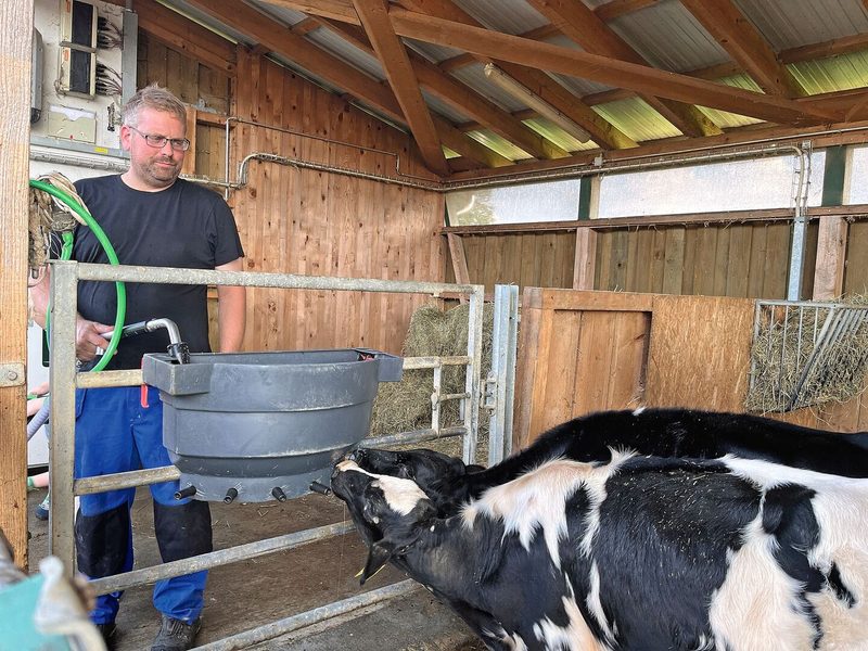 Pirmin Wandeler steht neben der Kälberbucht und befüllt das Tränkebecken für die grösseren Kälber mit Milch.