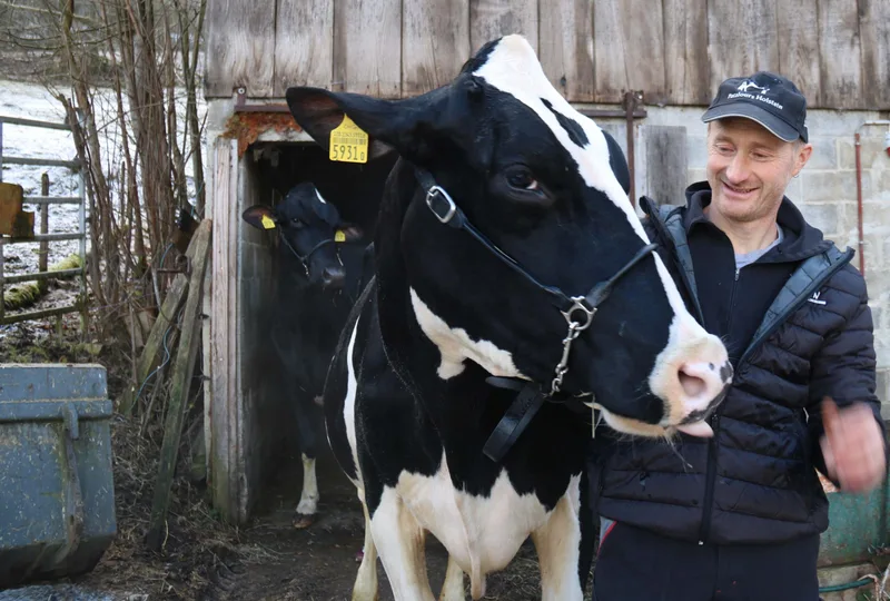 «Jemand in diesem Land muss noch Milch produzieren»