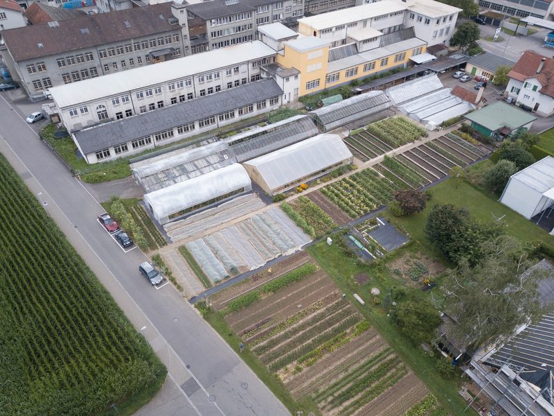 Markus Lohr betreibt einen Profi-Gemüsebetrieb im Kleinformat