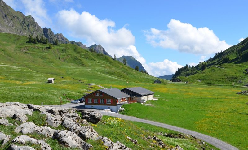 Braunvieh-Fans pilgerten auf dem Pragelpass