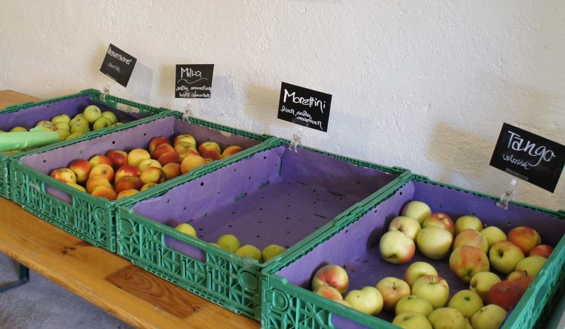 Obstvielfalt statt Einheitsmilch: Webers verkaufen ihr Obst nur noch an Wochenmärkten