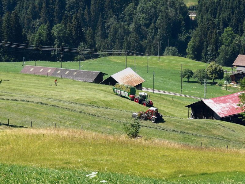 Der Ladewagen war ein durchschlagender Erfolg. Der Erste wurde 1960 an einer Landwirtschaftsausstellung gezeigt.