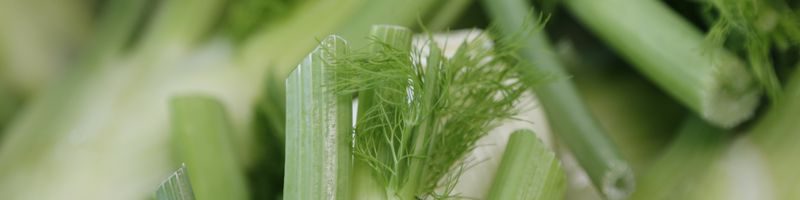 5 Tipps fürs sommerliche Grillvergnügen mit Gemüse
