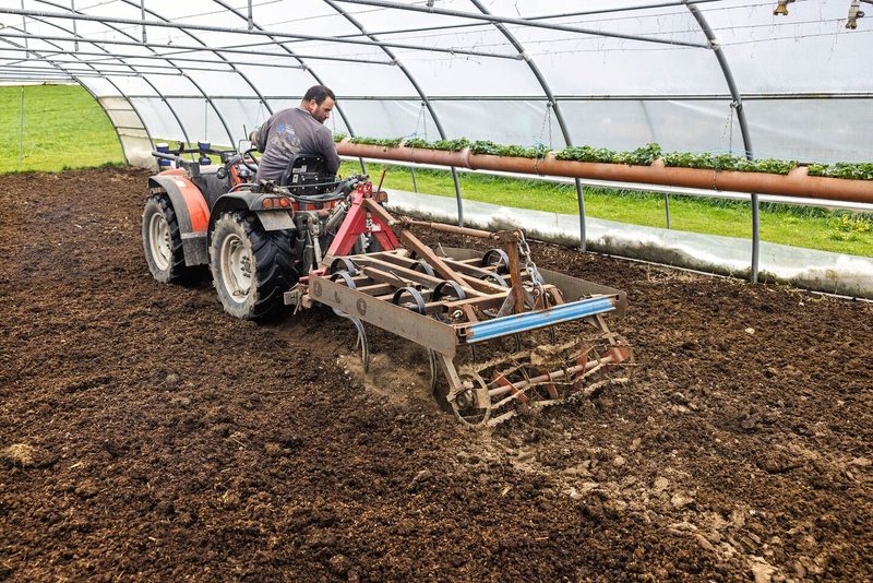 Serge Duperrex arbeitet mit dem Carraro im Folientunnel Mist ein.
