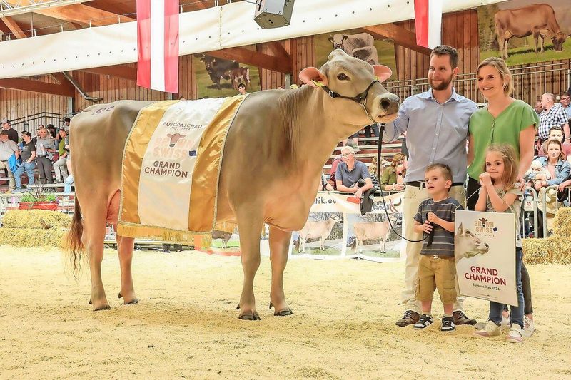 Schweizer Braunvieh verteidigt EM-Titel im österreichischen Imst