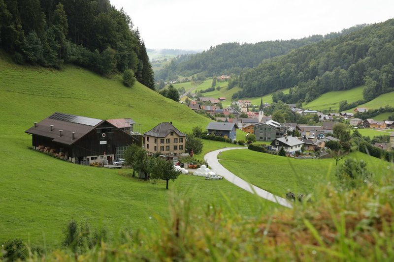 Landwirte in der Schweiz verzeichnen 2024 höhere Einkommen bei gleichzeitig reduziertem Arbeitsaufwand