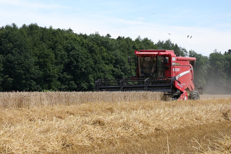 Landwirte in der Schweiz verzeichnen 2024 höhere Einkommen bei gleichzeitig reduziertem Arbeitsaufwand