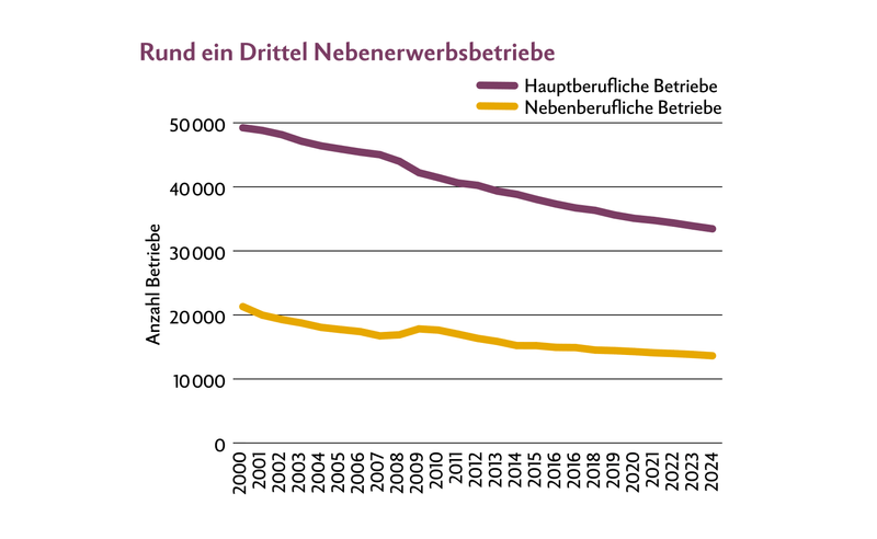 Die Anzahl der Betriebe sinkt seit Jahren. Nebenerwerbsbetriebe machen rund einen Drittel aus.