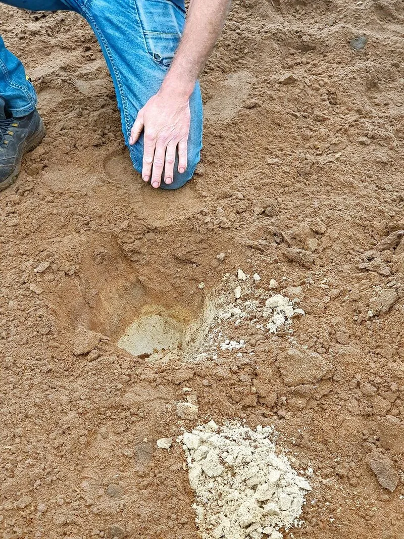 In nur wenigen Zentimetern Tiefe ist der Sand wieder hell.