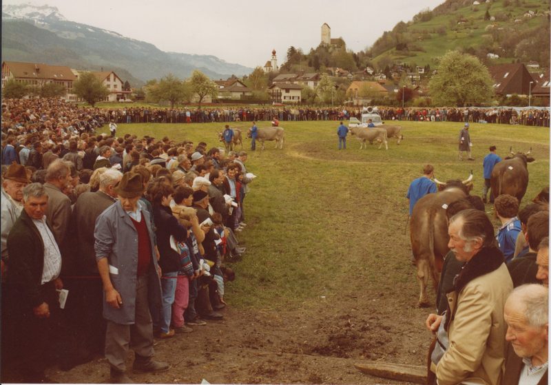 Der scharfe Blick der Experten