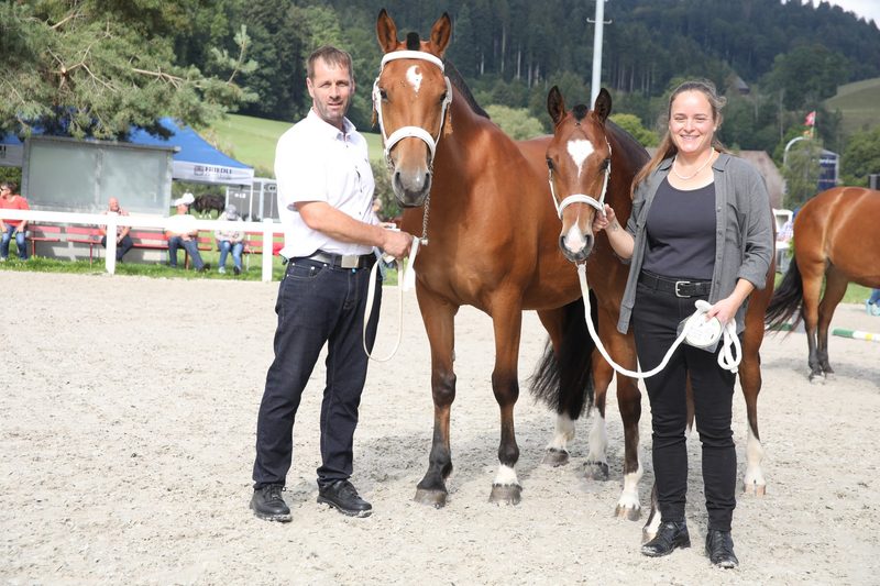 Familie Bernhard siegt mit Hengstfohlen «Edison BR» in Hasle-Rüegsau