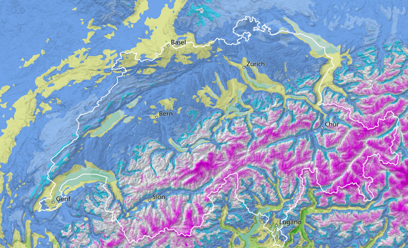 Es steht eine strenge Frostnacht an – diese Bäume brauchen Schutz