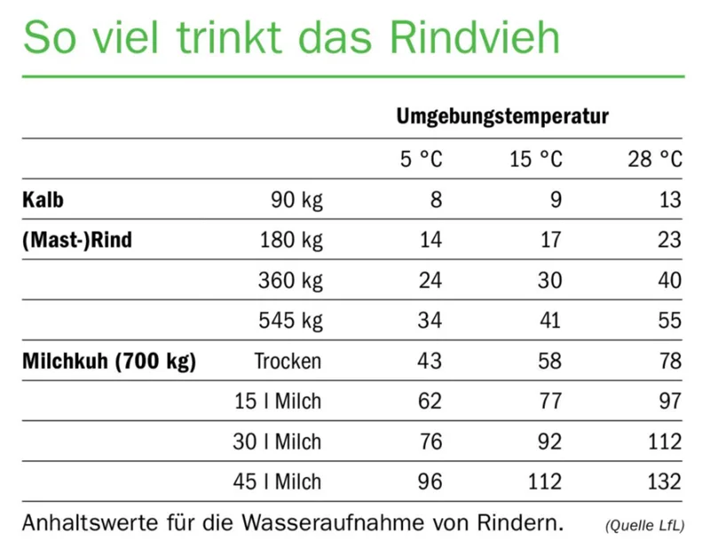 Wasser ist das wichtigste Futtermittel