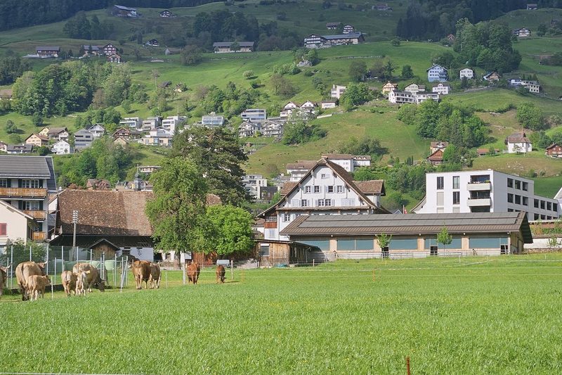 Melanie Pfyl ist Nebenerwerbslandwirtin und Buchhalterin