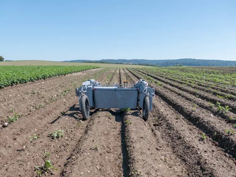 Laserroboter kämpft gegen Unkraut