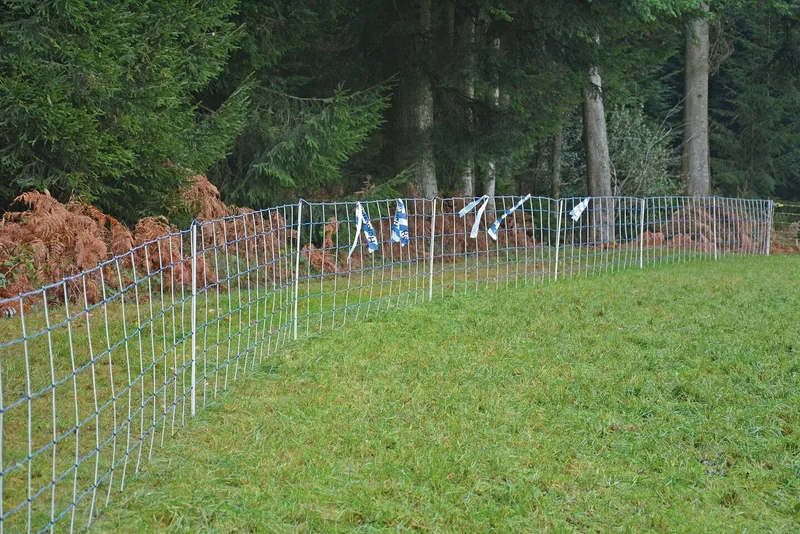 Blaue Bändel machen das Weidenetz für Wildtiere sichtbar.