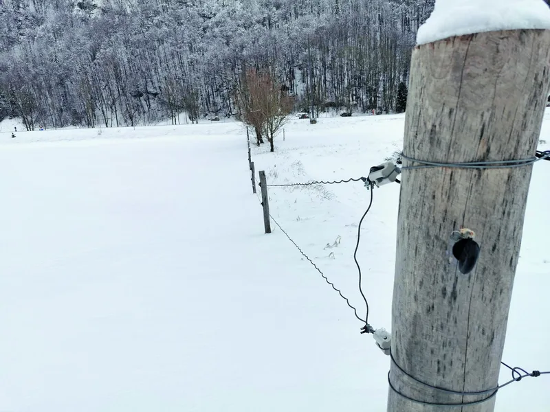 Wellendrahtzäune zäunen eine schneebedeckte Weide ein.