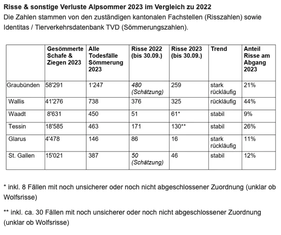 «Mehr Wölfe, gleich viele Schafe – aber weniger Risse»