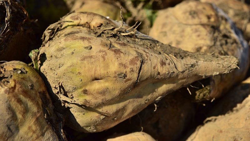 Süssen ohne Kristallzucker: Es geht auch schweizerischer als mit Reissirup