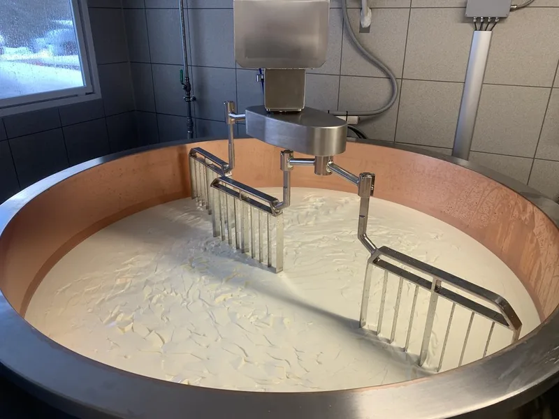 «Wir haben die Produktion von Schafkäse von unseren Eltern gelernt und übernommen»
