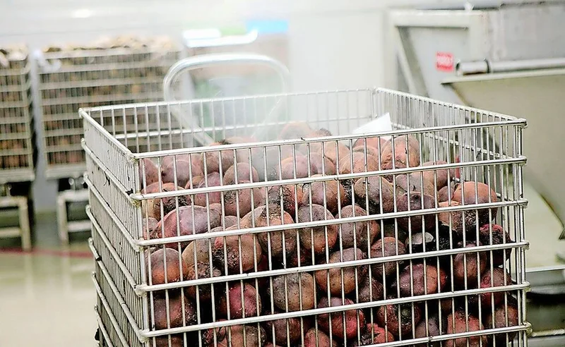 Die Firma Schwab hat sich auf die Verarbeitung von Randen spezialisiert. Das meistverkaufte Produkt sind die bereits fertig gedämpften und geschälten Randenknollen.