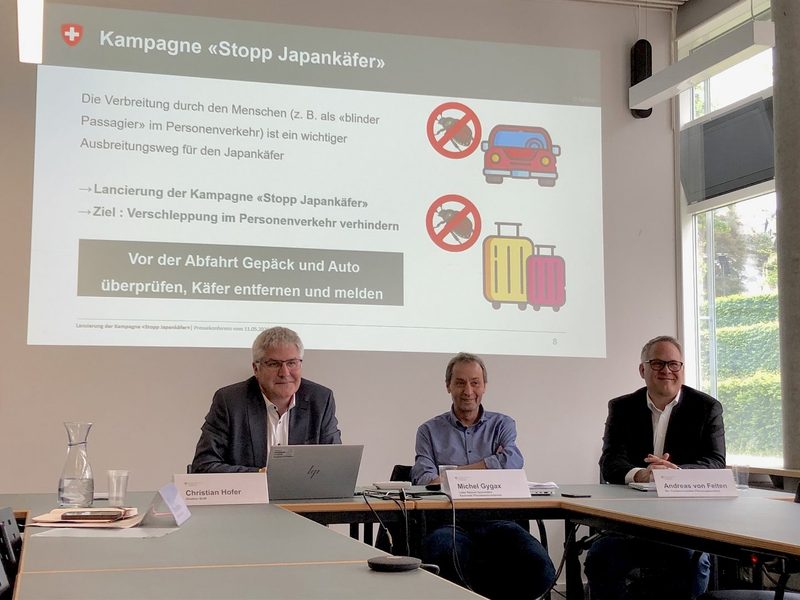 «Das schaffen wir nur gemeinsam»: BLW ruft zum Kampf gegen Japankäfer auf