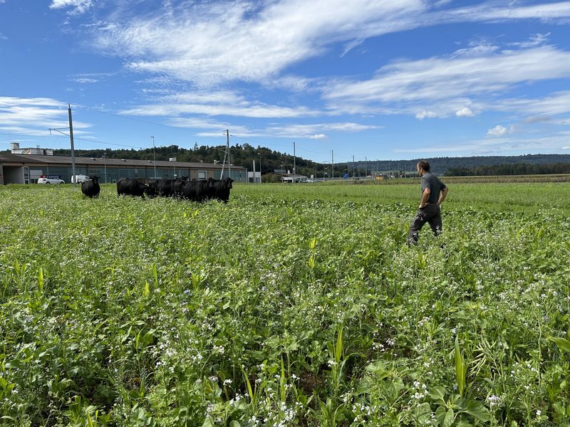 Urban Dörig sagt: «Lasst die Wurzeln arbeiten»