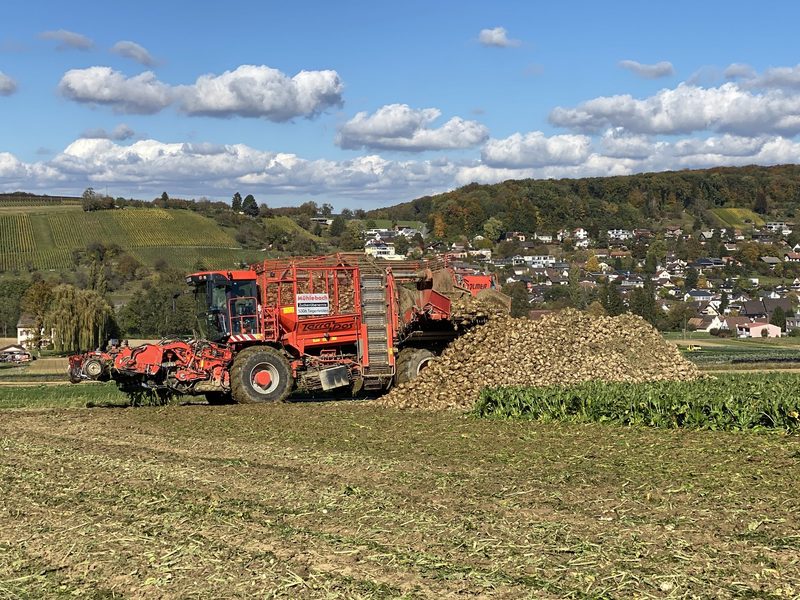 Von einem schlechten Anbaujahr lässt sich Zuckerrüben-Produzent Urs Zimmermann nicht entmutigen