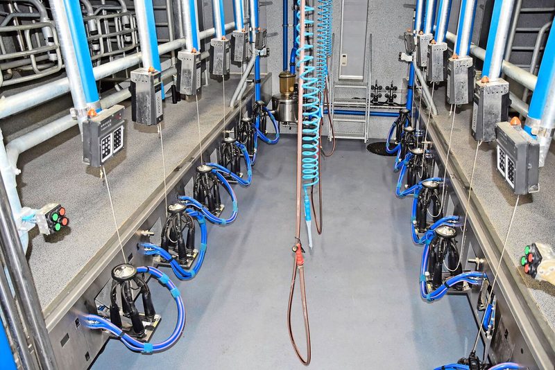 Gemolken werden die Kühe in einem 2x6-DeLaval-Melkstand. Die Tiere hätten sich schnell daran gewöhnt.