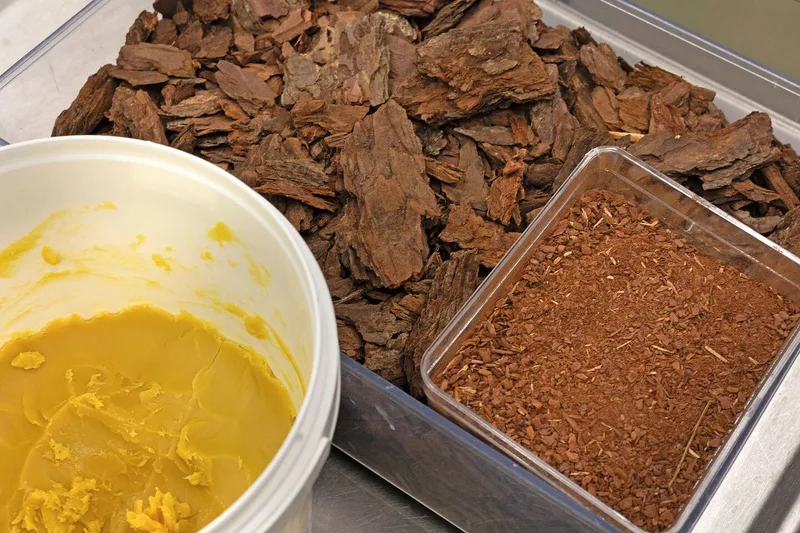 Larixyne, eine gelbe Masse ist in einem weissen Eimer gelagert. Daneben stehen Behälter mit ganzer sowie gemahlener Lärchenrinde.