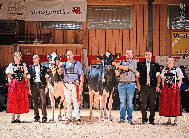 Miss Red Holstein/Holstein: Sihu Sidekick Mara (l.), Ueli Siegenthaler; Miss Schöneuter: La Cerlière Legend Odessa, Fabian Herren.