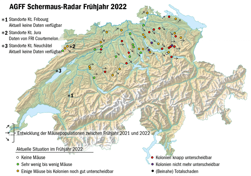 Sollte man Schermäuse jetzt bekämpfen oder lieber abwarten?